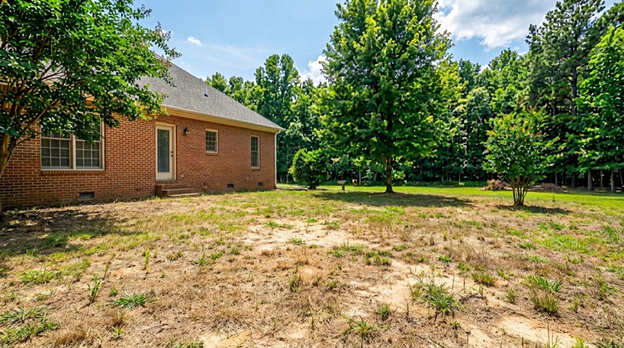 Backyard before — bare dirt yard with no deck or landscaping